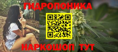гашик Малгобек