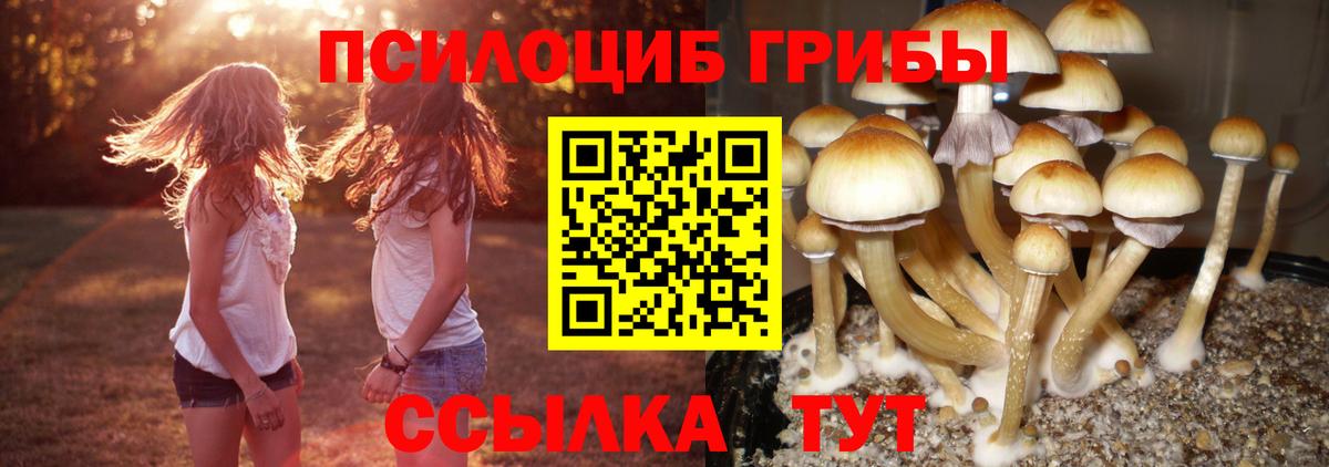 Галлюциногенные грибы Cubensis  Псилоцибиновые грибы ЛСД  Вход с VPN  Усинск 